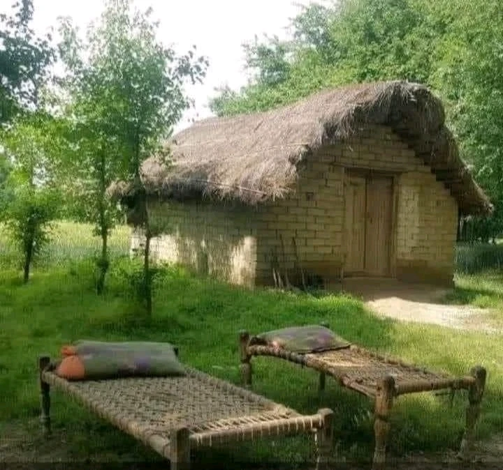 تصویر Chindi کی طرف سے اپ لوڈ کی گئی