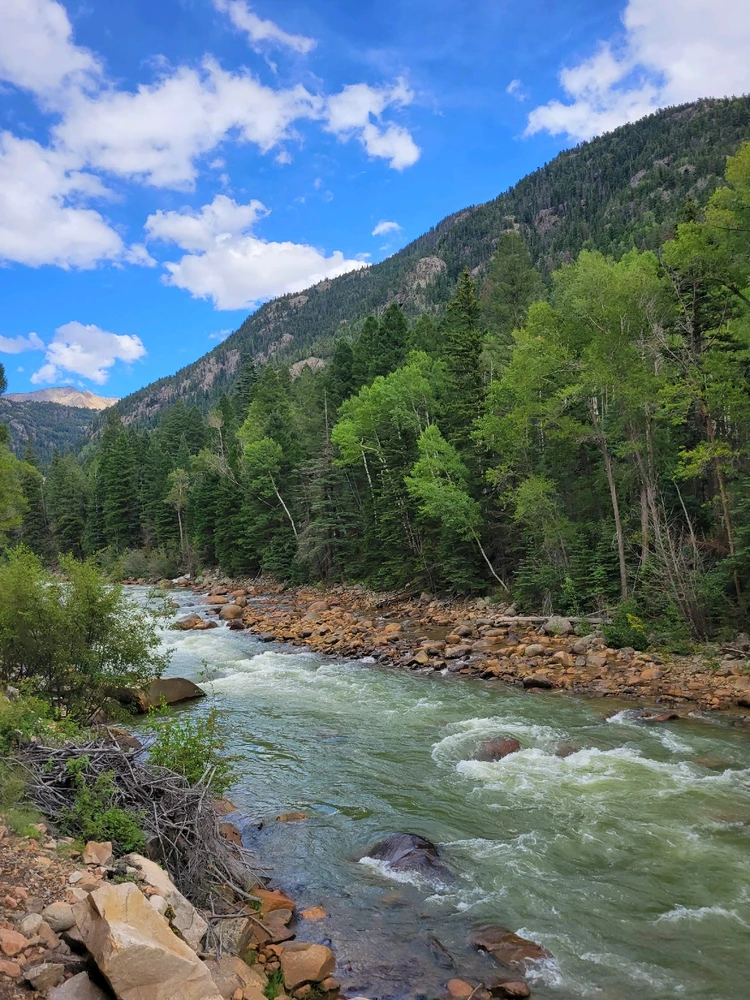 Image uploaded by Rin