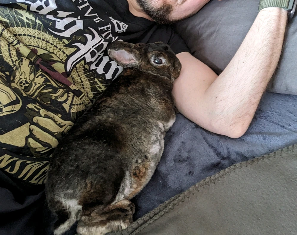 Bild hochgeladen von Tom