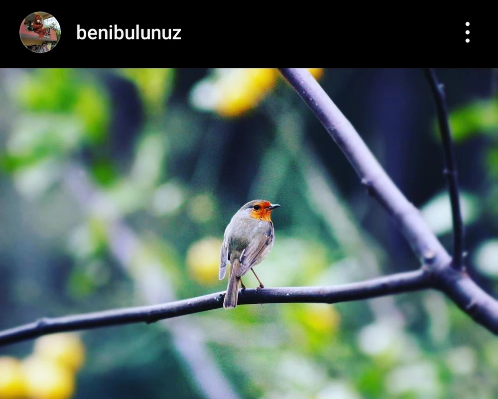 Daniel tarafından yüklenen görsel