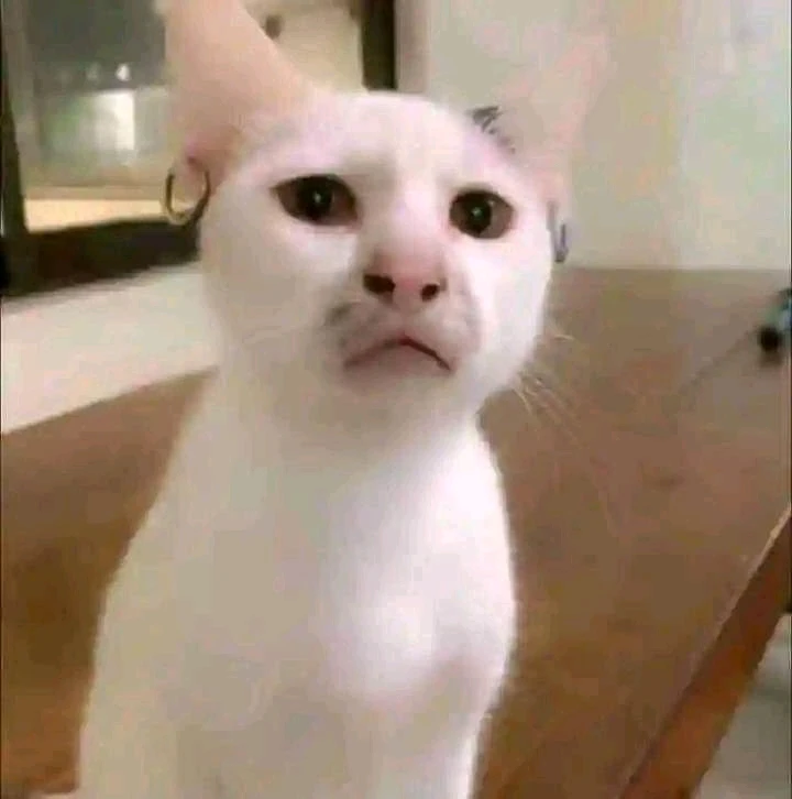 Gambar diunggah oleh Hendra