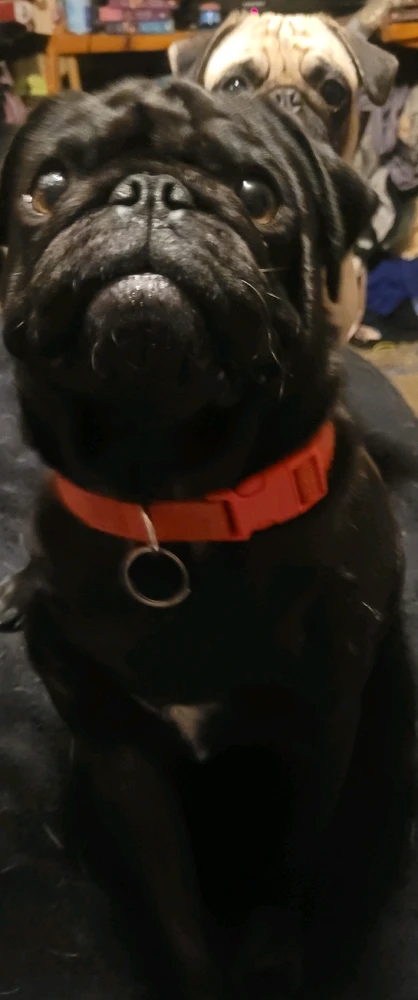 Image uploaded by Jessica