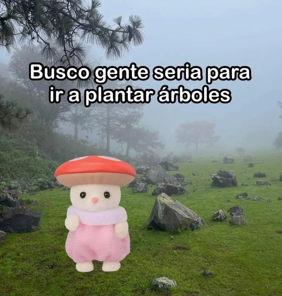 Imagen subida por Cristian G