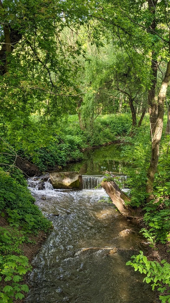 Зображення завантажив Serhii