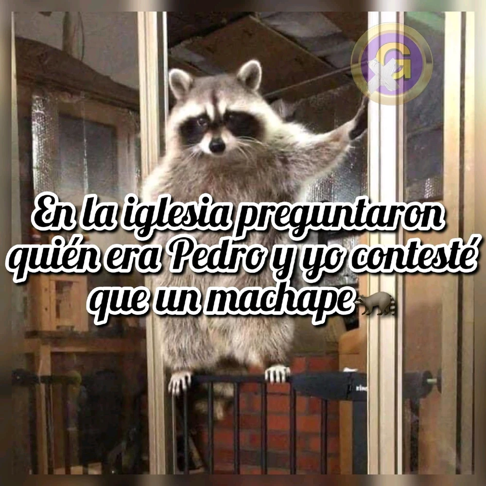 Imagen subida por Jesualdo Abraham