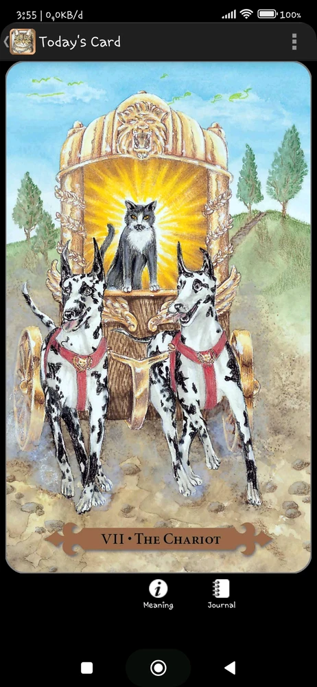 Gambar diunggah oleh Netizenirrojim