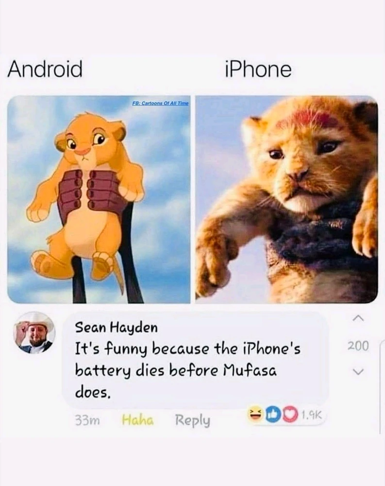 Image uploaded by Eng. Zorz