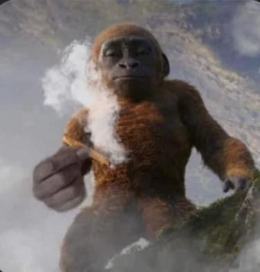 Image uploaded by Francisco Jimenez