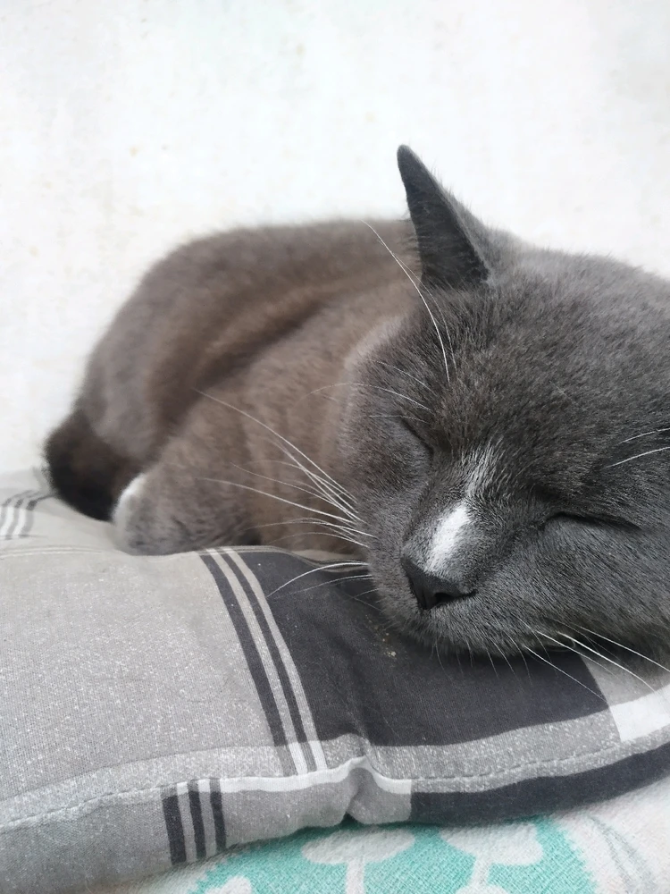 Obrázek nahrál Martin "PLzi"