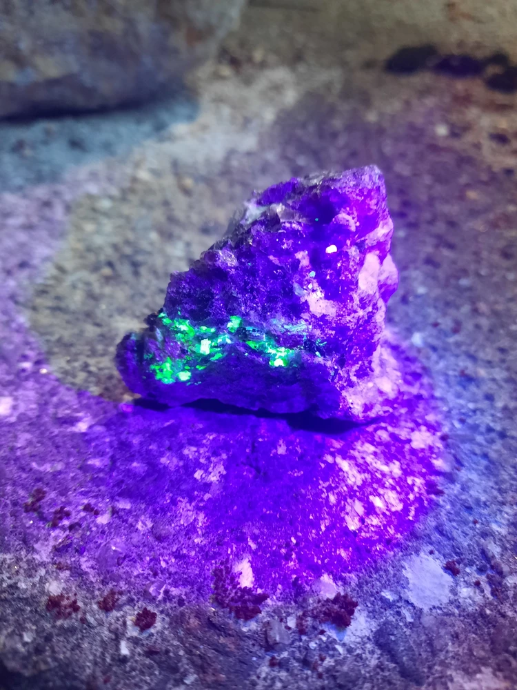 Image uploaded by Shawn