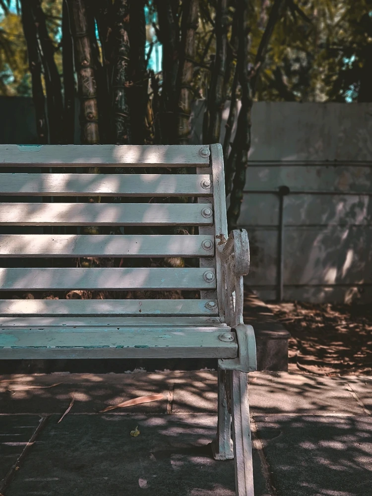 Miaz അപ്‌ലോഡ് ചെയ്ത ചിത്രം