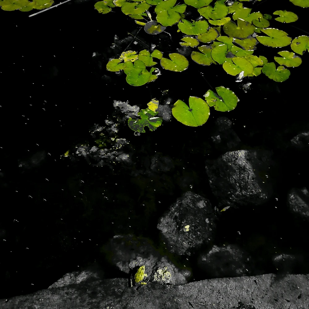 Juhász Attila János által feltöltött kép