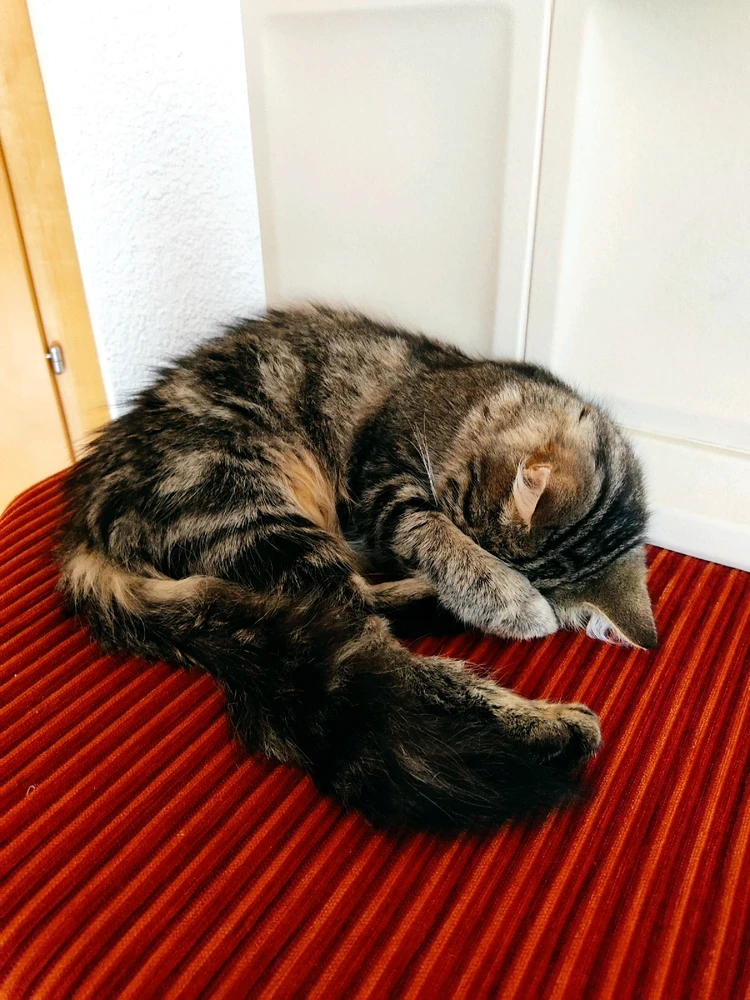 Bild hochgeladen von Patrick