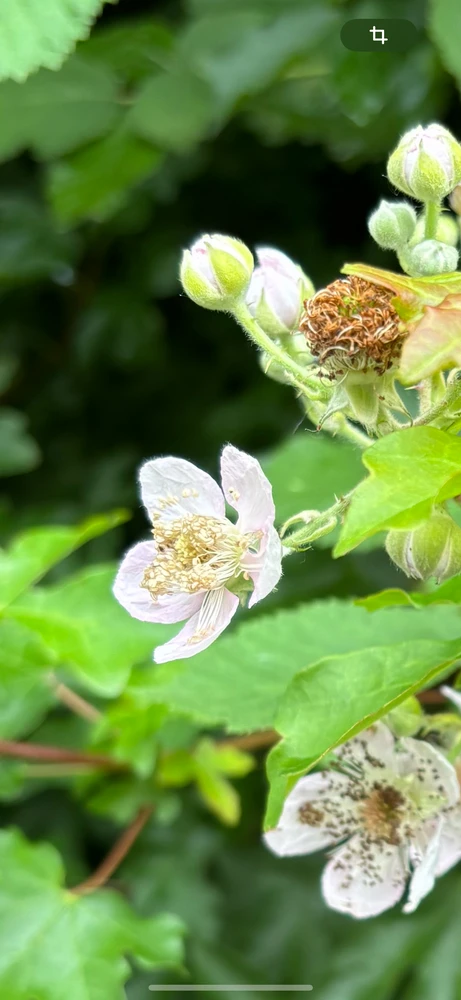 Bild hochgeladen von ⒺⓋⒾⒺ