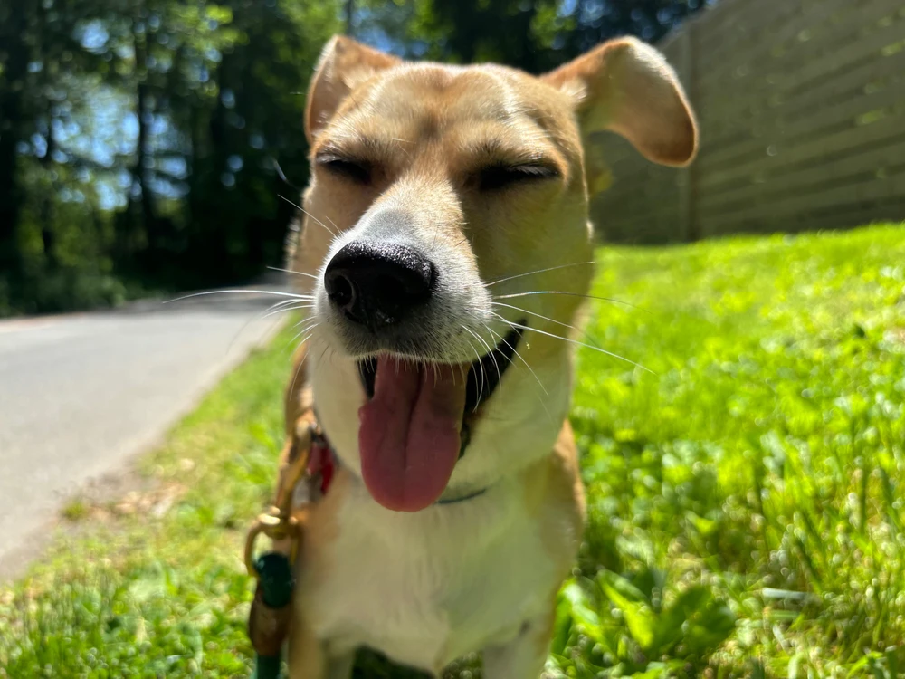 Gambar diunggah dening Bella