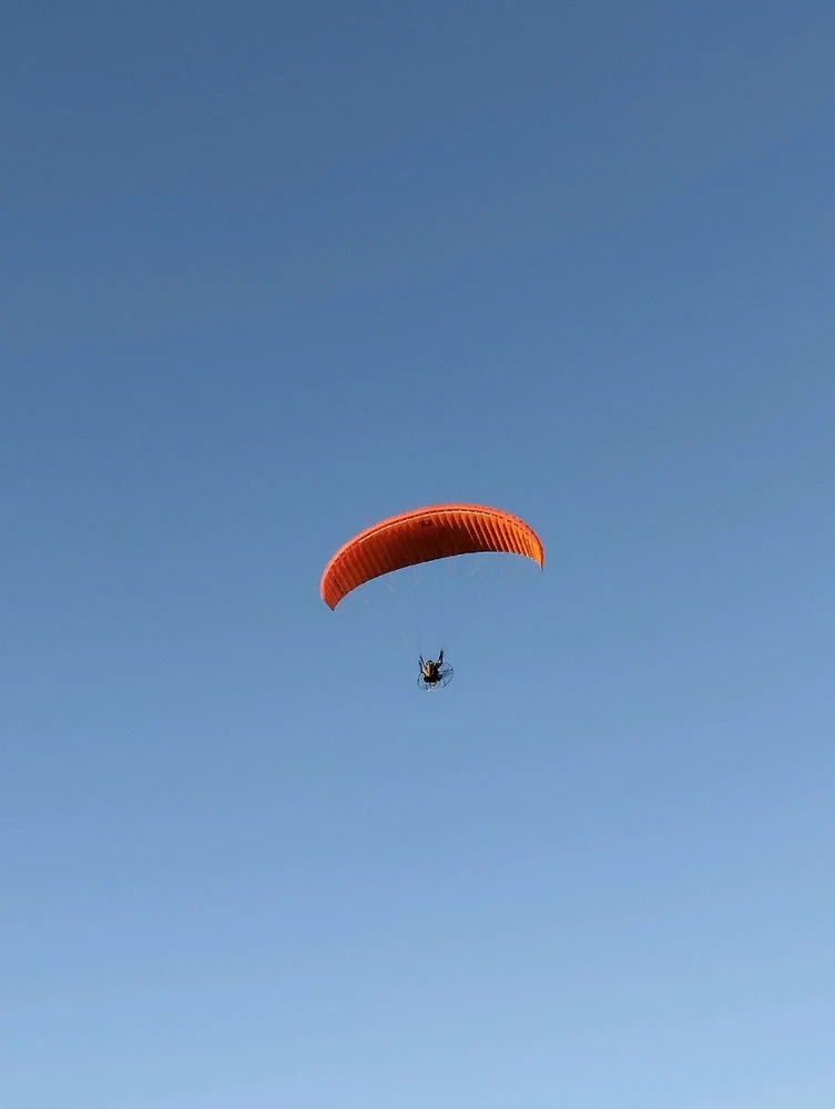 Image uploaded by Glyne