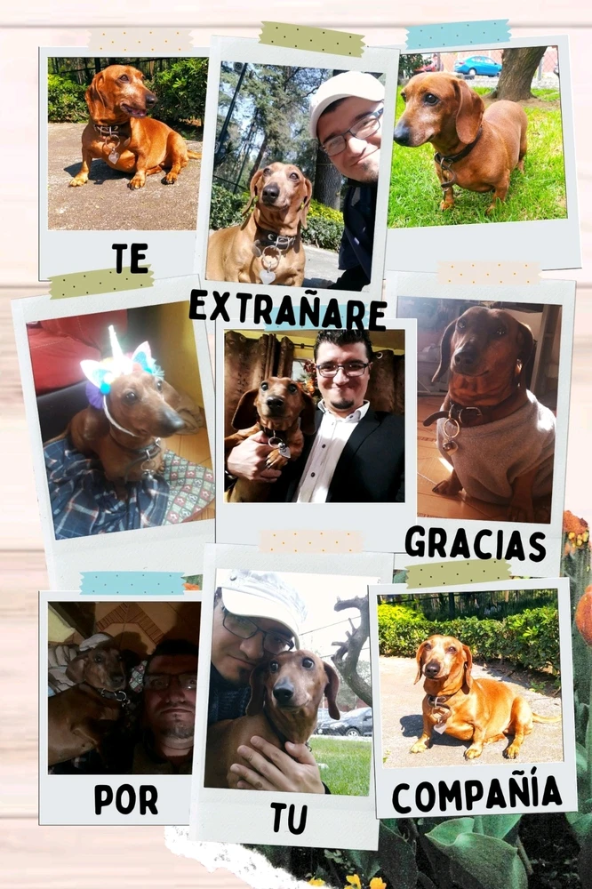 Daría todo por solo una vez más.