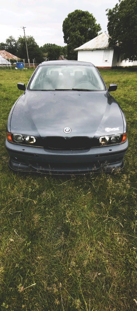 Imagine încărcată de Orlando