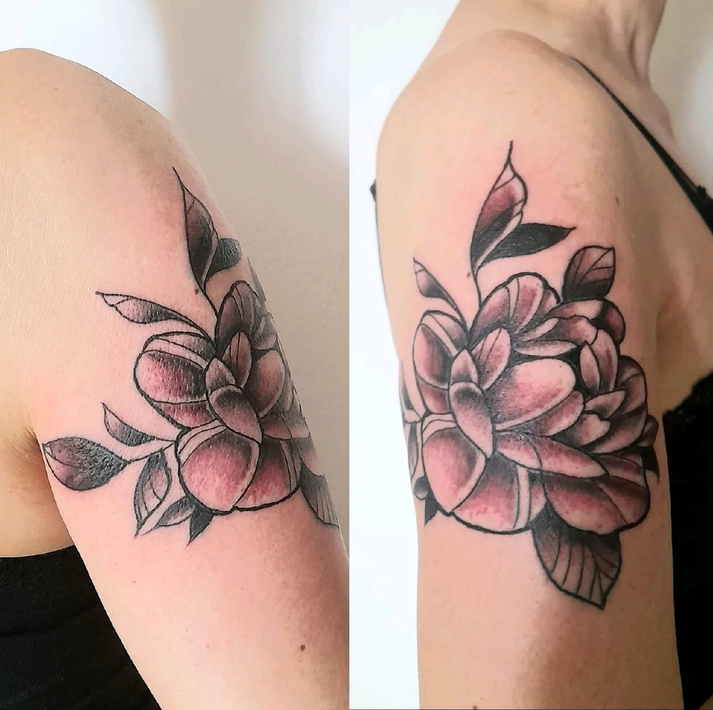 Immagine caricata da PIERLUIGI