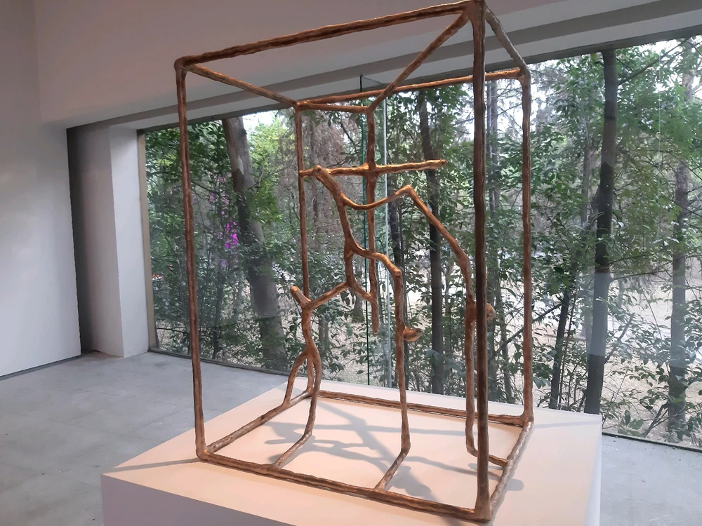 Image uploaded by Andrés