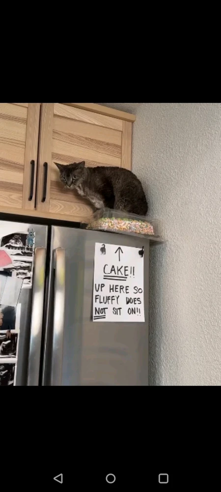 Image uploaded by Stefan