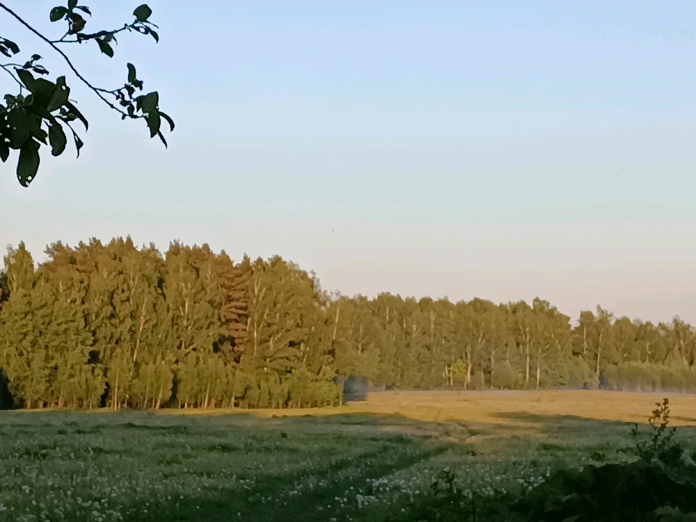 Почти лето ;)