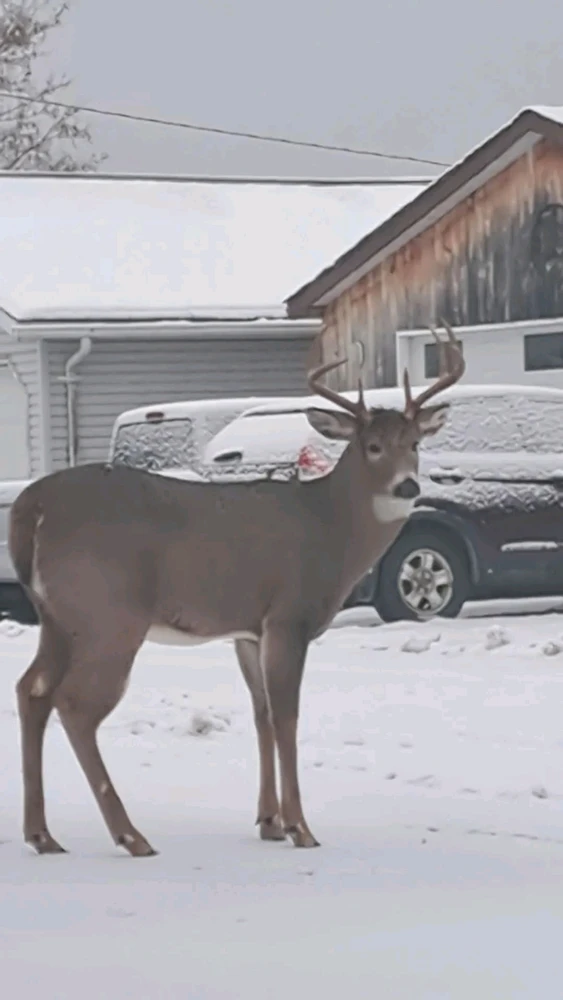 Image uploaded by Arpan