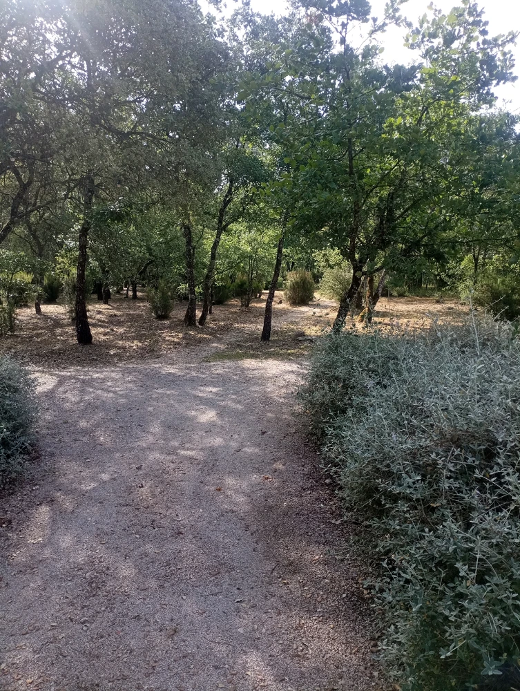 Imagem enviada por Sónia Isabel