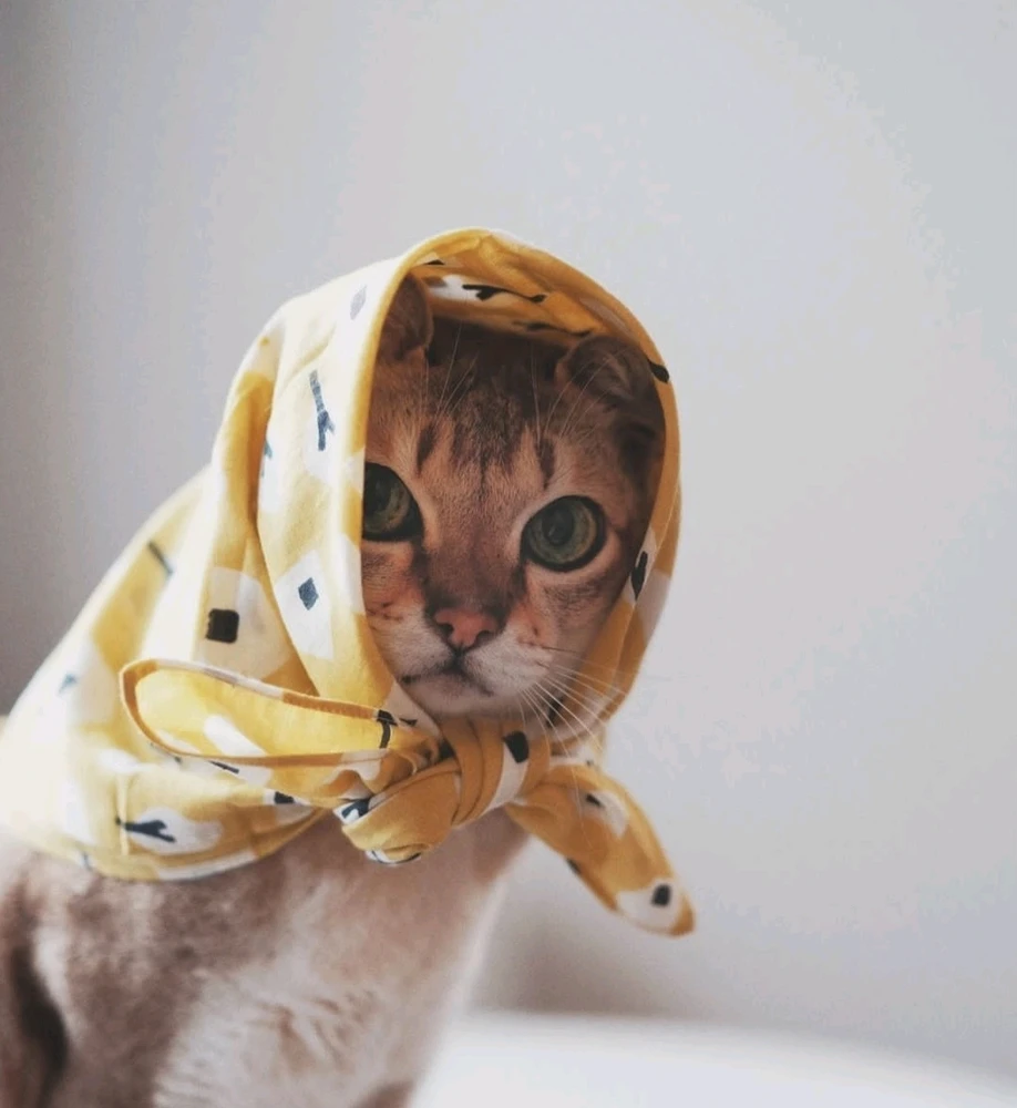 تصویر آپلود شده توسط M..R..A