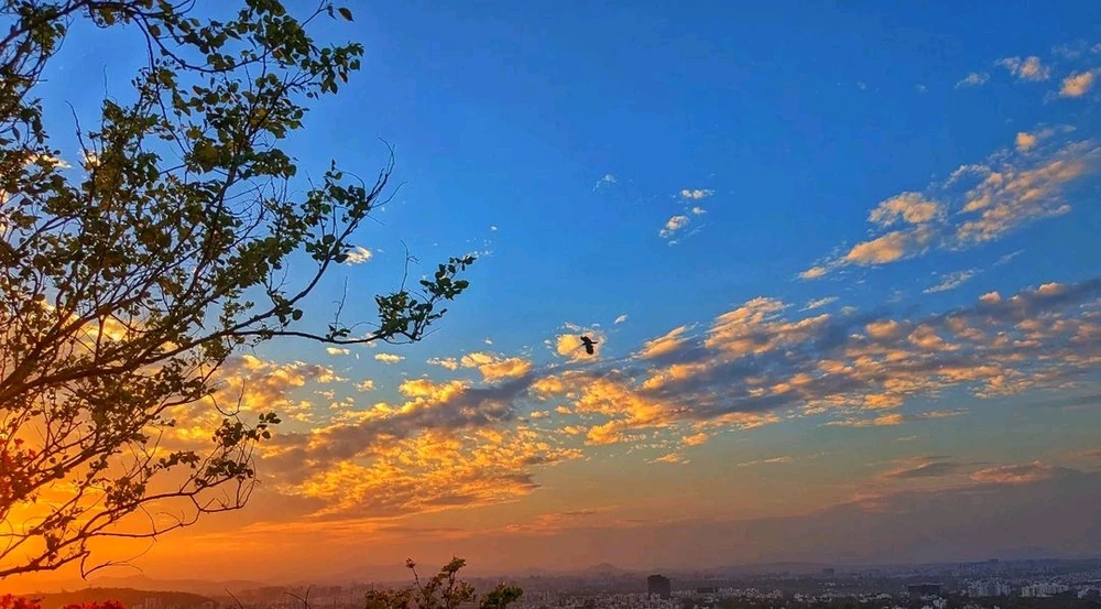 Imagen subida por Prathamesh