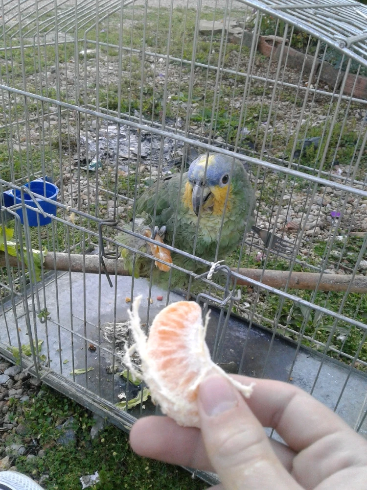 Imagem enviada por Davi