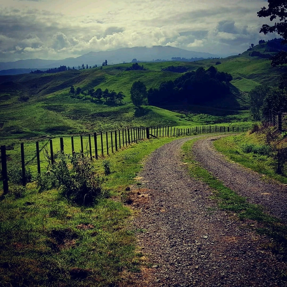 Image uploaded by Angie