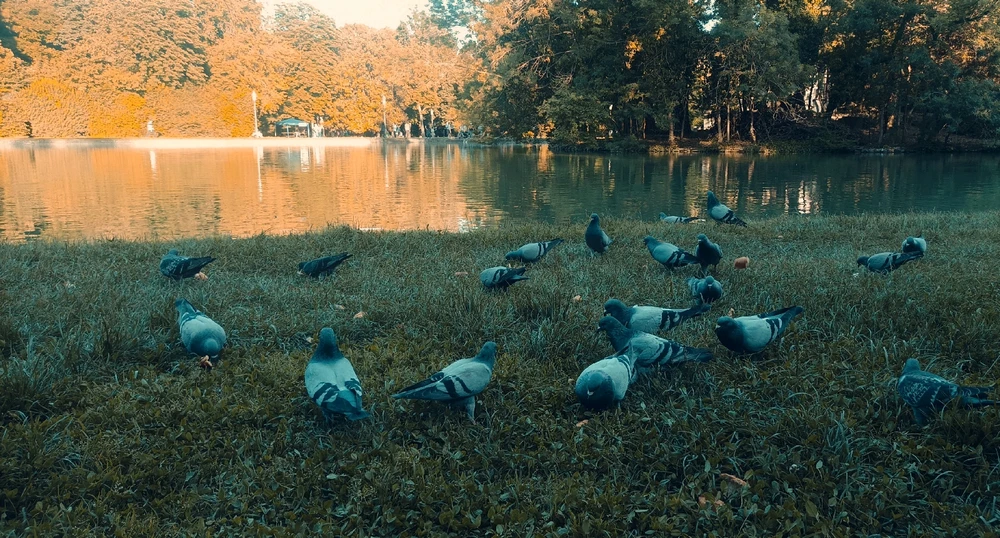 Immagine caricata da Giulio