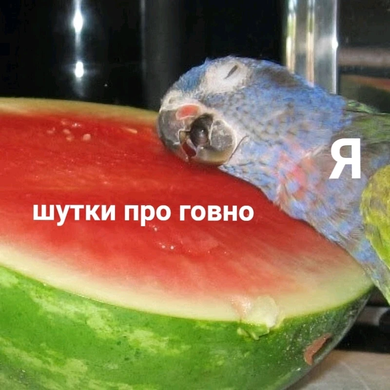Фото загрузил Выпьемзалюбовь