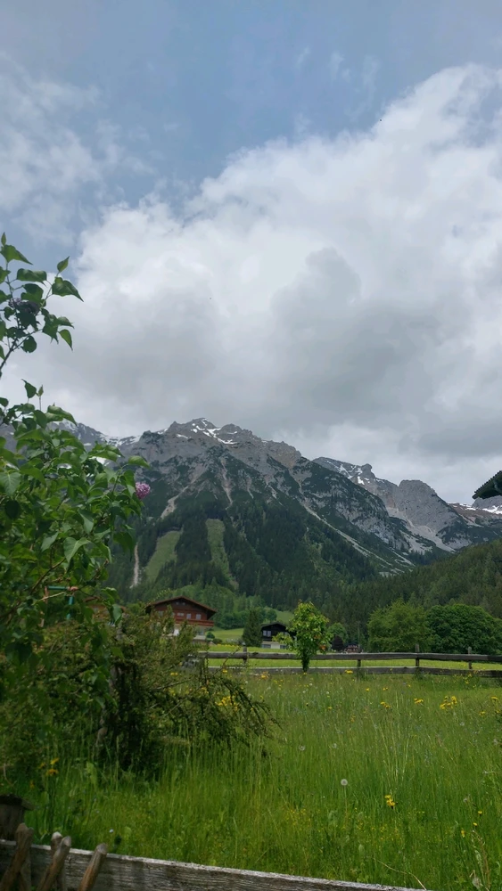 Bild hochgeladen von Theresa