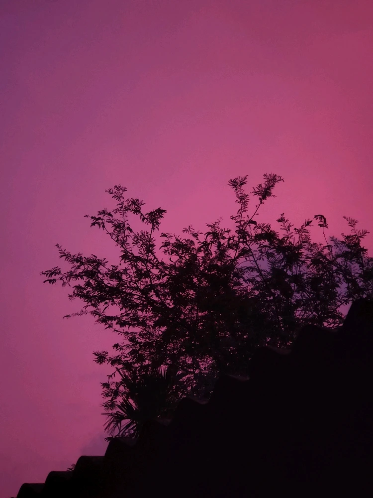 SHARATH അപ്‌ലോഡ് ചെയ്ത ചിത്രം