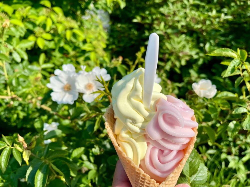 Obrázek nahrál 🤍