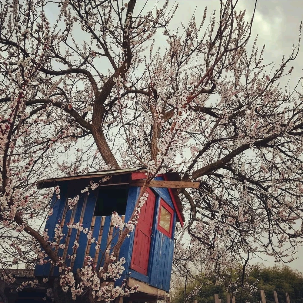 Immagine caricata da Lelo