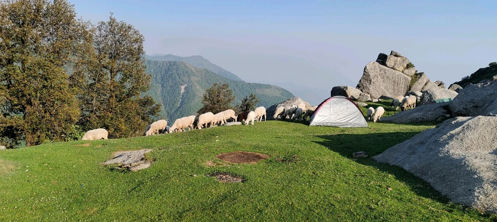 Image uploaded by Ajay