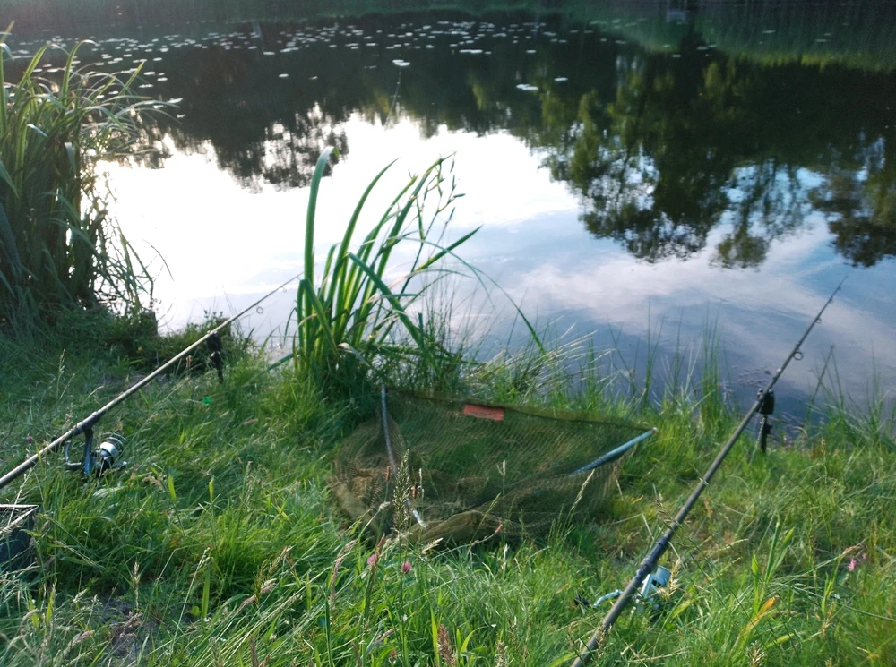 Image ajoutée par Pierre