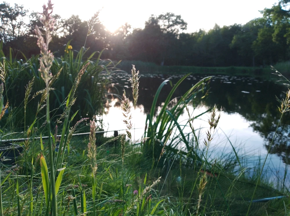 Image ajoutée par Pierre