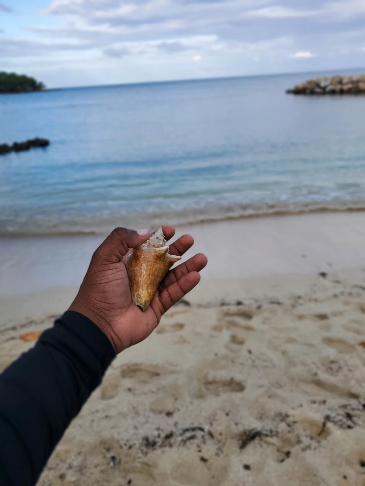 Image uploaded by Shemar