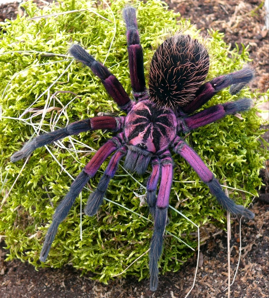 Bild hochgeladen von Basti