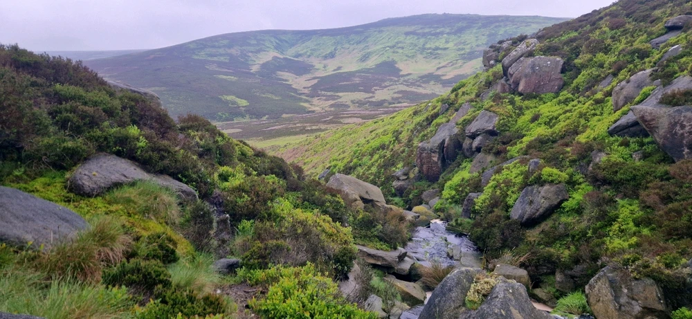 Image uploaded by Freddy