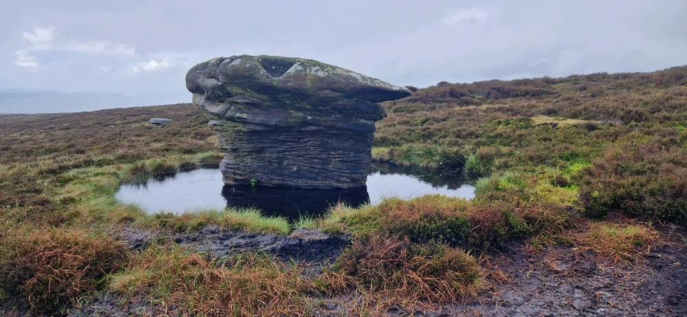 Image uploaded by Freddy