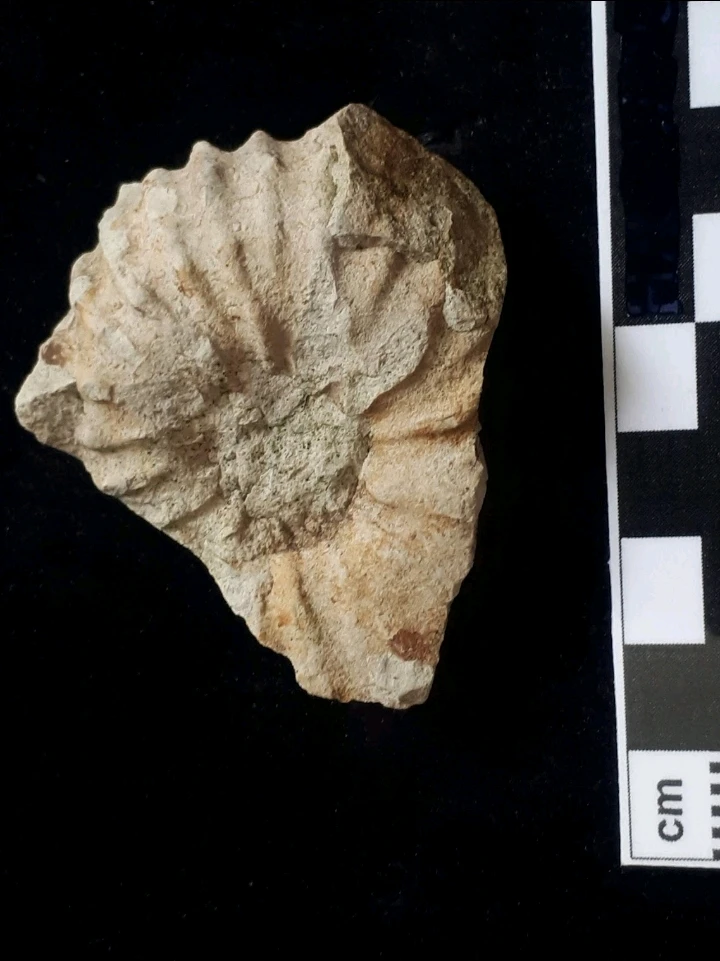 Bild hochgeladen von Herbert = ᚺᛖᚱᛒᛖᚱᛏ