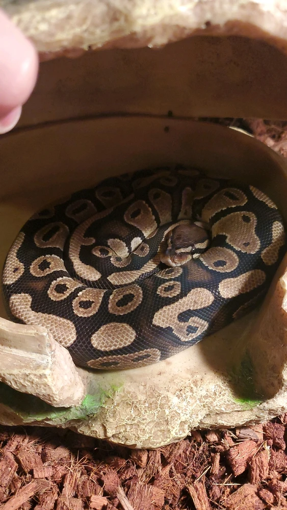 This is my baby Cecilia!