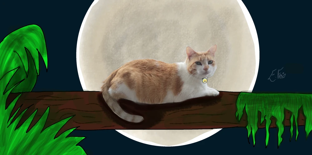 Image uploaded by EminyFox