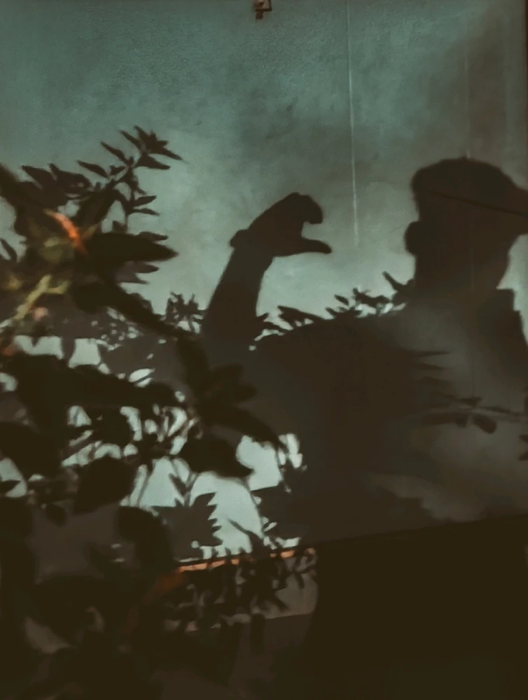 Miaz അപ്‌ലോഡ് ചെയ്ത ചിത്രം