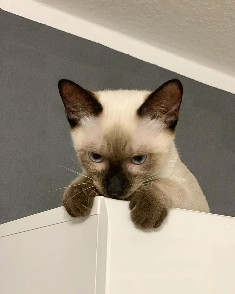 Bild hochgeladen von Agon